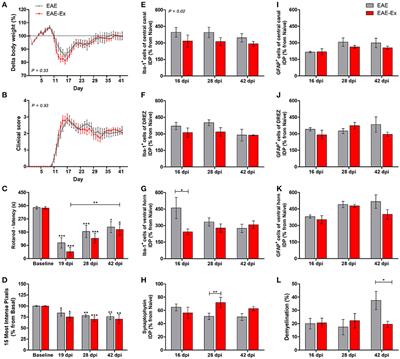 Regular Exercise Modifies Histopathological Outcomes of Pharmacological Treatment in Experimental Autoimmune Encephalomyelitis